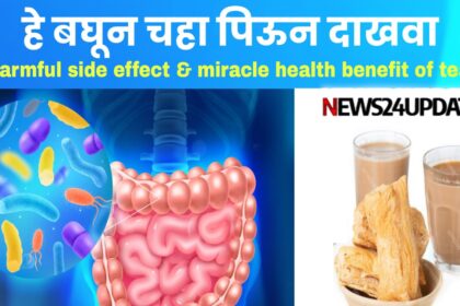 Miracle Health Benefits of Tea | हे बघून चहा पिऊन दाखवा