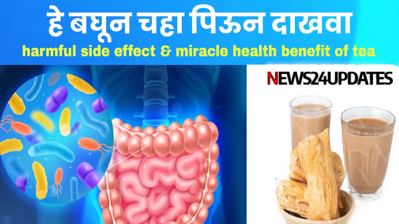 Miracle Health Benefits of Tea | हे बघून चहा पिऊन दाखवा